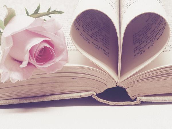 eine rosa Rose liegt auf einem Buch